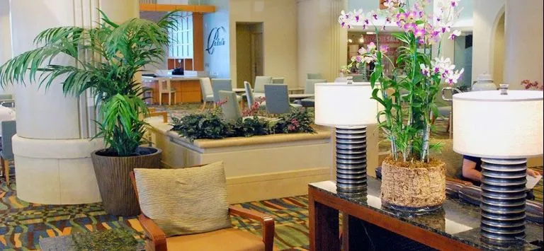 LUXURY SUITES INTERNATIONAL AT ALA MOANA