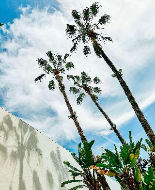 THE BEVERLY HILTON