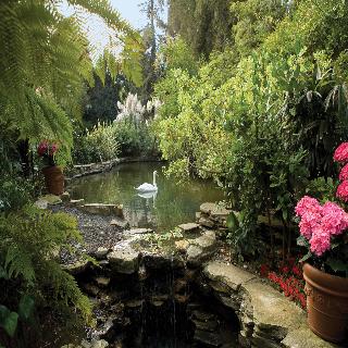 HOTEL BEL-AIR - DORCHESTER COLLECTION