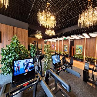 HOTEL PLATINIA